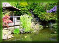 Japanese
Gardens