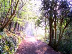 Tehidy
Country Park
