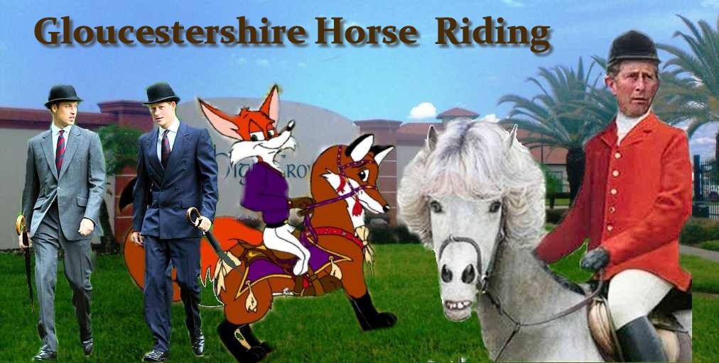 Glocestershire Horse
                      Riding