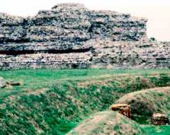 Richborough
              Castle