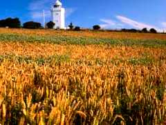 South
                Foreland Lighthouse