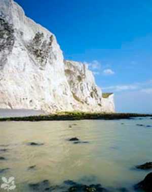 White Cliffs Of Dover