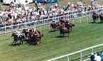 Salisbury Racecourse