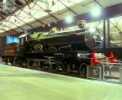 Steam