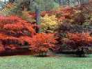 Westonbirt Arbetorium