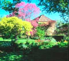 East Lambrook
Gardens