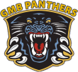 Nottingham
                                                Panthers