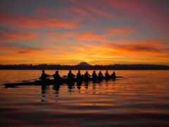 Rowing at Sunset